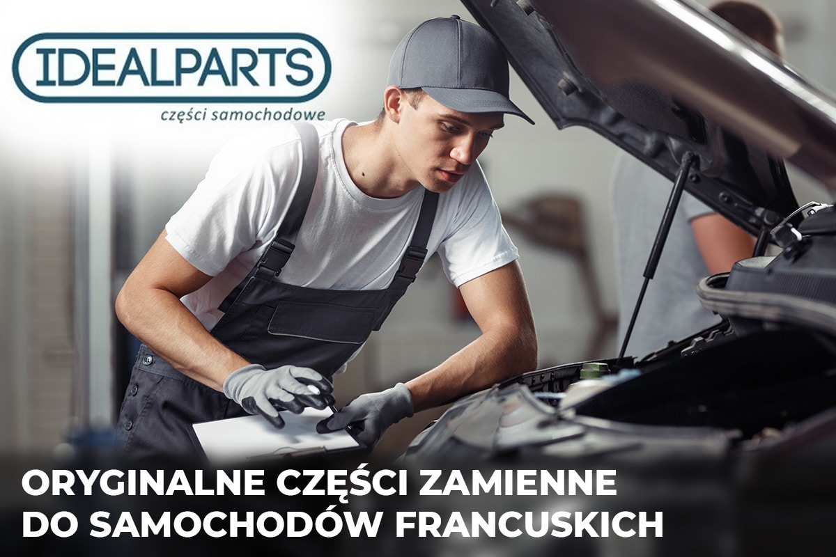 Części zamienne do samochodów francuskich –Ideal Parts: wygoda i dostępność